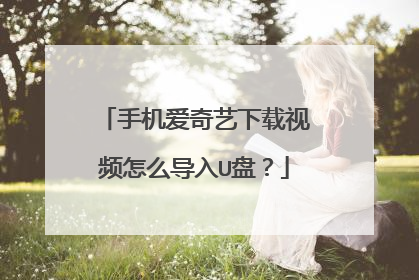 手机爱奇艺下载视频怎么导入U盘?