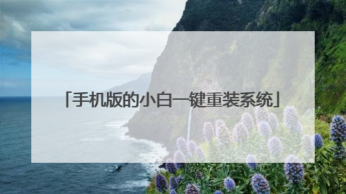手机版的小白一键重装系统