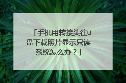 手机用转接头往U盘下载照片显示只读系统怎么办?