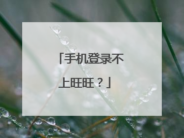 手机登录不上旺旺?