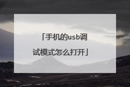 手机的usb调试模式怎么打开