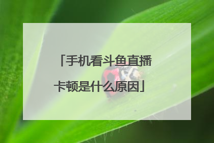 手机看斗鱼直播卡顿是什么原因