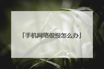 手机网络很慢怎么办
