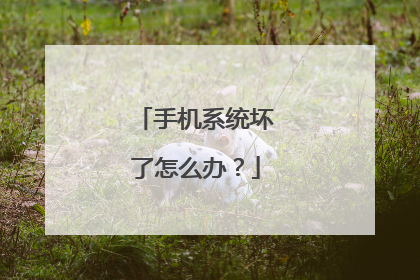 手机系统坏了怎么办?
