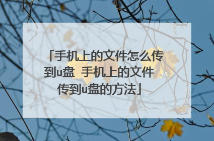手机上的文件怎么传到u盘 手机上的文件传到u盘的方法