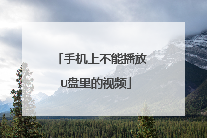 手机上不能播放U盘里的视频
