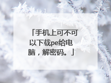 手机上可不可以下载pe给电脑,解密码。