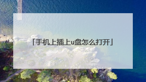 手机上插上u盘怎么打开