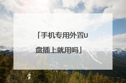手机专用外置U盘插上就用吗