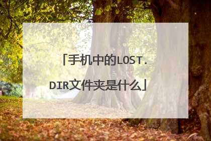 手机中的LOST.DIR文件夹是什么