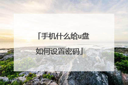 手机什么给u盘如何设置密码