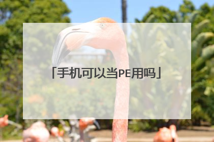 手机可以当PE用吗