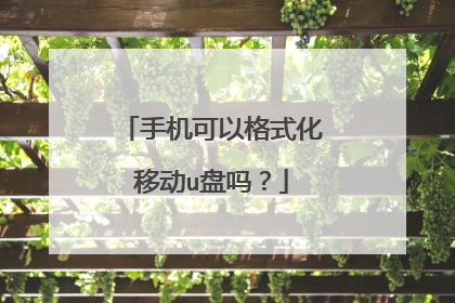 手机可以格式化移动u盘吗?