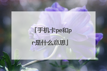 手机卡pe和pr是什么意思