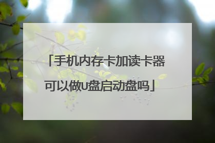 手机内存卡加读卡器可以做U盘启动盘吗