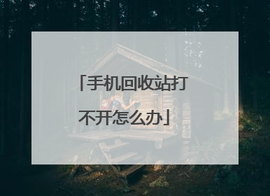 手机回收站打不开怎么办