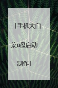 手机大白菜u盘启动制作