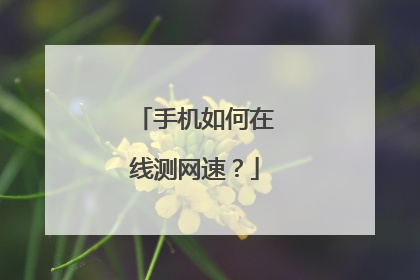 手机如何在线测网速?