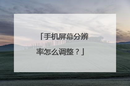 手机屏幕分辨率怎么调整?