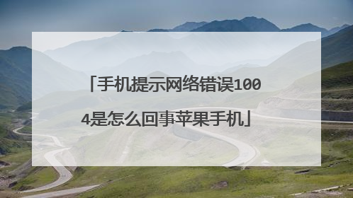 手机提示网络错误1004是怎么回事苹果手机