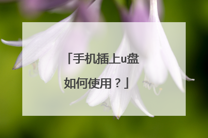 手机插上u盘如何使用?