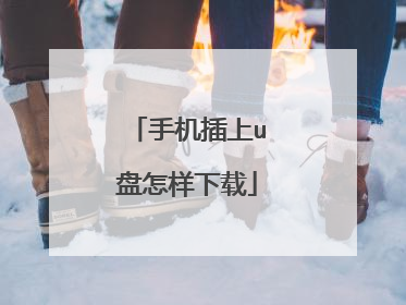手机插上u盘怎样下载
