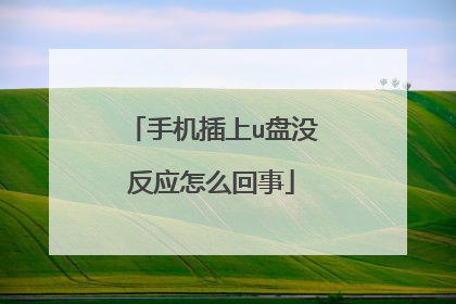 手机插上u盘没反应怎么回事