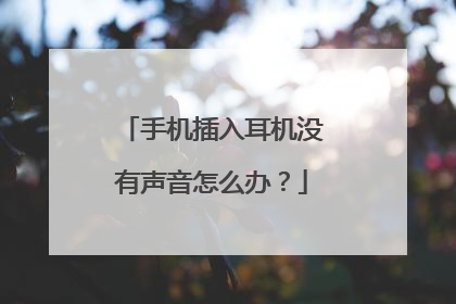 手机插入耳机没有声音怎么办?