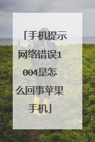 手机提示网络错误1004是怎么回事苹果手机