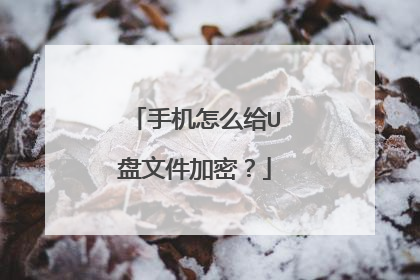手机怎么给U盘文件加密?