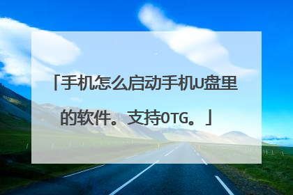 手机怎么启动手机U盘里的软件。支持OTG。