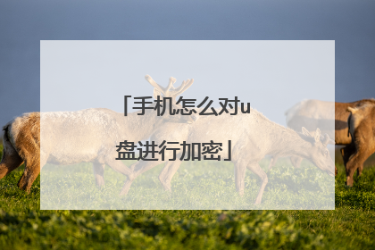 手机怎么对u盘进行加密