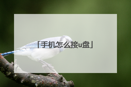手机怎么接u盘