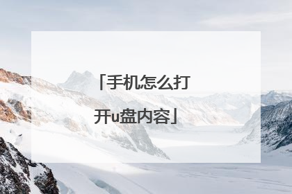 手机怎么打开u盘内容