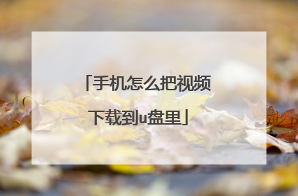 手机怎么把视频下载到u盘里