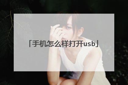 手机怎么样打开usb