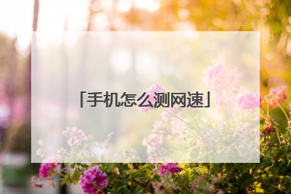 手机怎么测网速