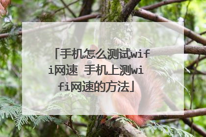 手机怎么测试wifi网速 手机上测wifi网速的方法
