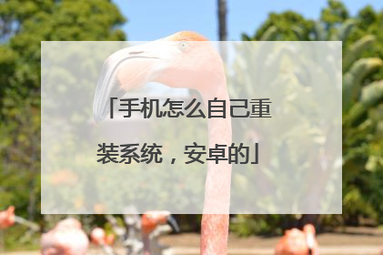 手机怎么自己重装系统,安卓的