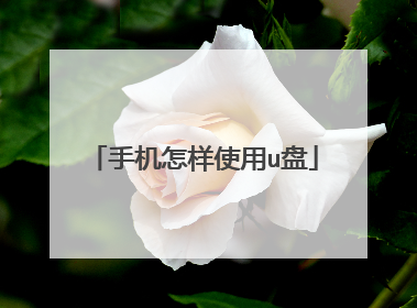 手机怎样使用u盘