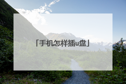 手机怎样插u盘