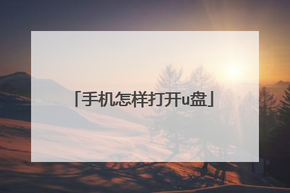 手机怎样打开u盘