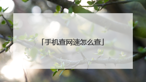 手机查网速怎么查