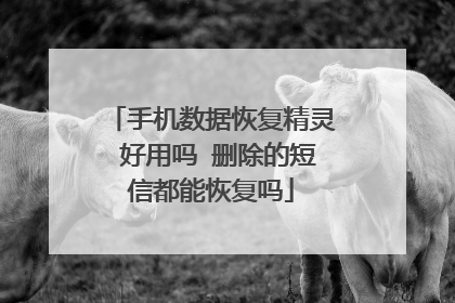 手机数据恢复精灵 好用吗 删除的短信都能恢复吗