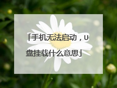 手机无法启动,U盘挂载什么意思