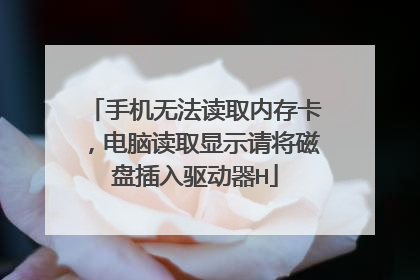 手机无法读取内存卡,电脑读取显示请将磁盘插入驱动器H