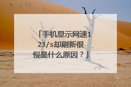 手机显示网速123/s却刷新很慢是什么原因?
