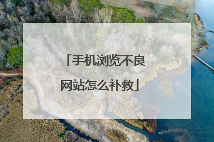 手机浏览不良网站怎么补救