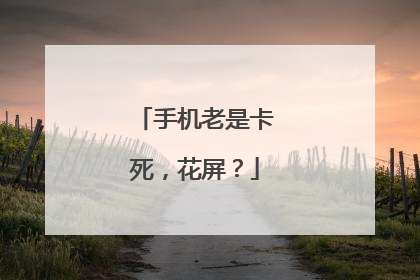 手机老是卡死,花屏?