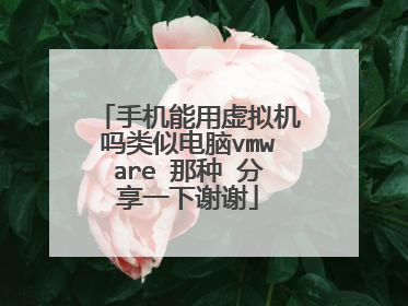 手机能用虚拟机吗类似电脑vmware 那种 分享一下谢谢